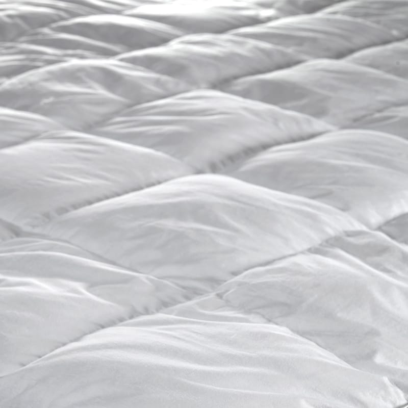 اشتر لباد ريش طبيعي بسماكة 7.5 سم من الفئة الذهبية من اللباد متجر كرزلنن الإلكتروني من ماركة الحصرية ولون ابيض اشتر لباد ريش طبيعي بسماكة 7.5 سم من الفئة الذهبية من اللباد متجر كرزلنن الإلكتروني من ماركة الحصرية ولون ابيض اشتر لباد ريش طبيعي بسماكة 7.5 سم