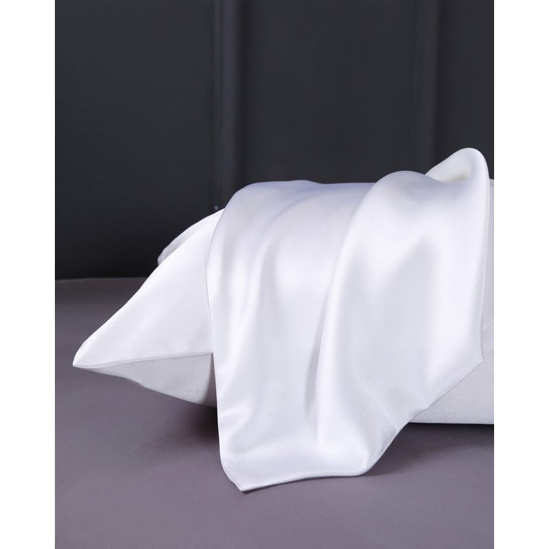 LILYSILK غطاء مخدة حرير طبيعي 19Momme-1